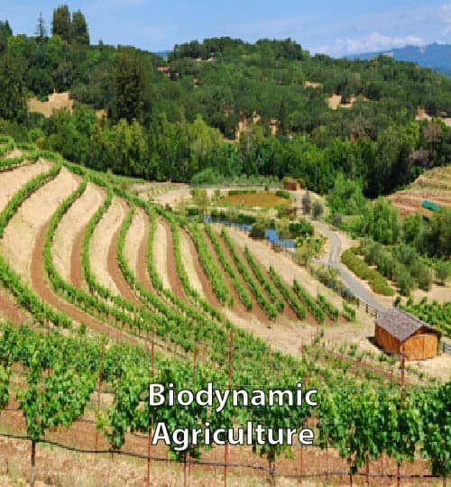 biodynamic-agriculture-3